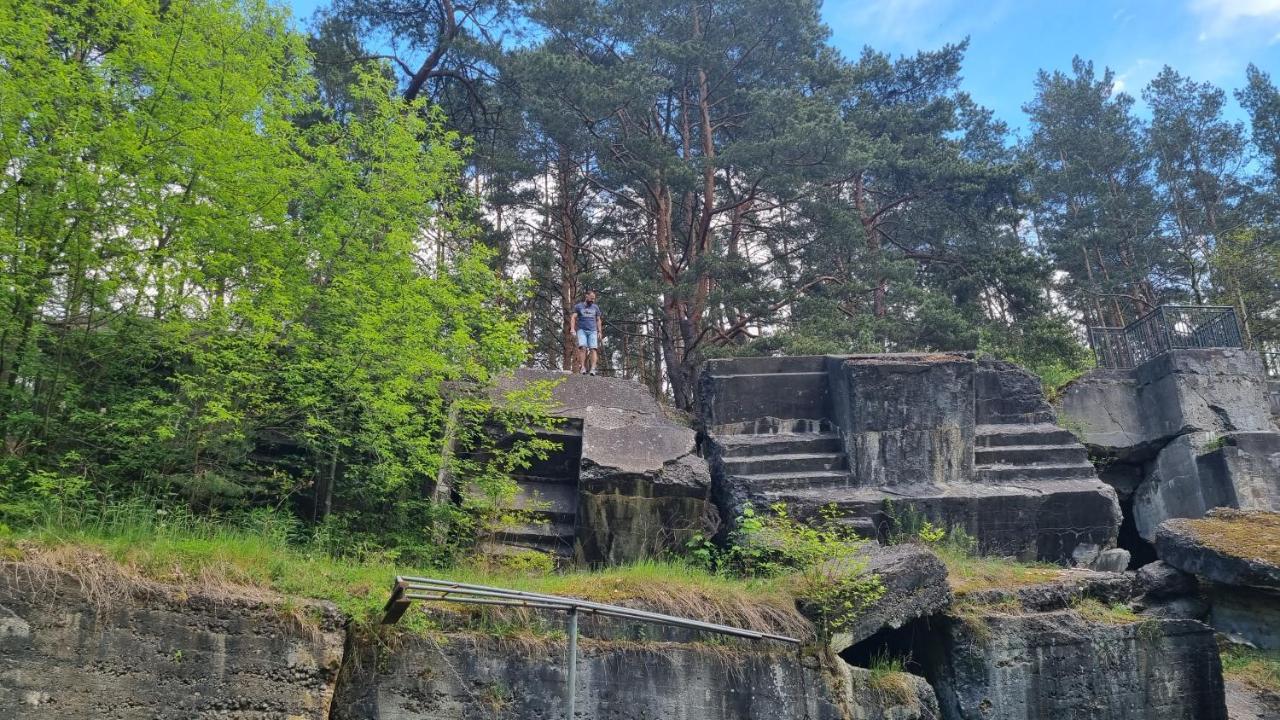 Niezapominajka Villa Janowek Pierwszy Exterior foto